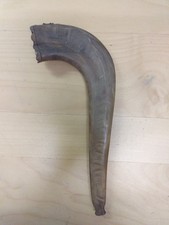 Widderhorn Schofar. Einer von Älteste Musikinstrumenten. Für Jüdische Feste