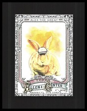 2025 Alex the Great Topps Allen & Ginter Foil Filagree #230 Therapy Bunny