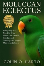 Moluccan Eclectus: Everything You Need to Know About Diet, Health, Habitat, and