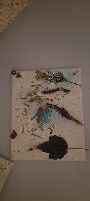 One-of-a-Kind Nature Assemblage Original Found Object Mixed Media Botanical Wall