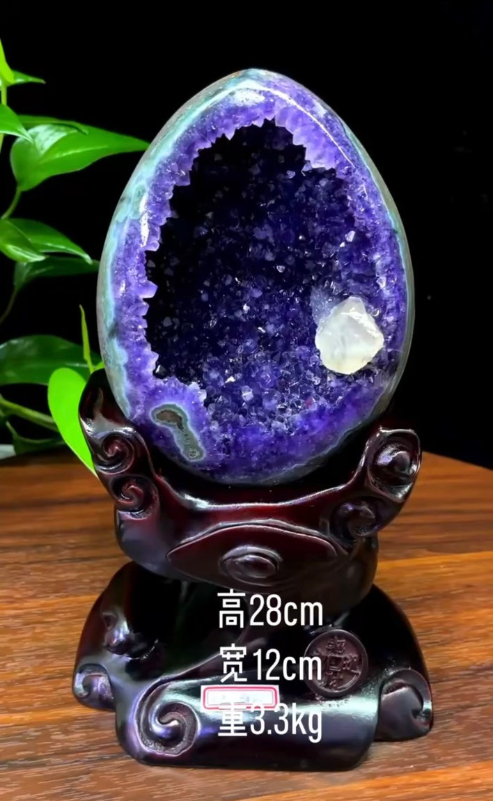 7.26LB Top Natural Amethyst Geode Quartz Crystal Dinosaur Egg Reiki Decor +STAND