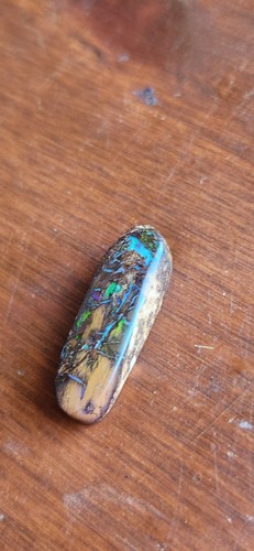 Australian Opalized Wood Cabochon, 23mmx7mm, 10 Carats