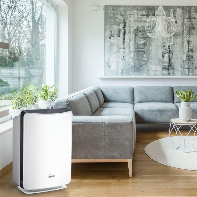 WINIX D480 3-Stage Electrostatic True HEPA Portable Air Purifier 1022