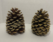 Pine Cones Real- Gold  Painted w/ glitter, 6 ...