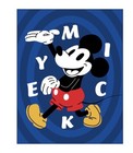 Disney Twin Blankets & Throws