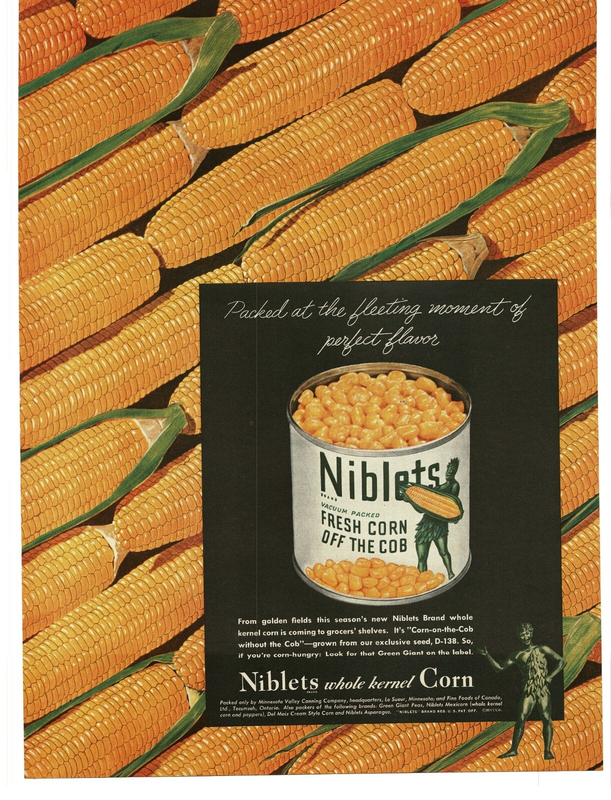 1945 Green Giant Niblets Canned Corn Golden Cornonthecob art Vintage