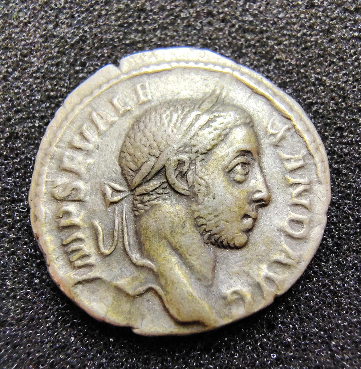 Denarius Severus Alexander Roman Imperial Coins (27 BC-476 AD) for