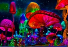 79x59" Fluorescent Colors Mushrooms Starry NightSky BlackLT Tapestry Wallhanging