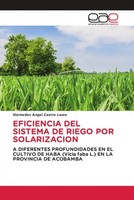 Diomedes ÁNgel Castro Laura | Eficiencia Del Sistema De Riego Por Solarizacion