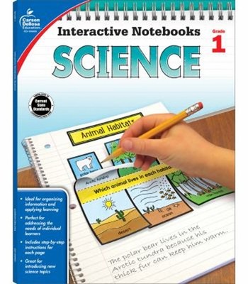 Science, Grade 1 Paperback Holly Rafidi