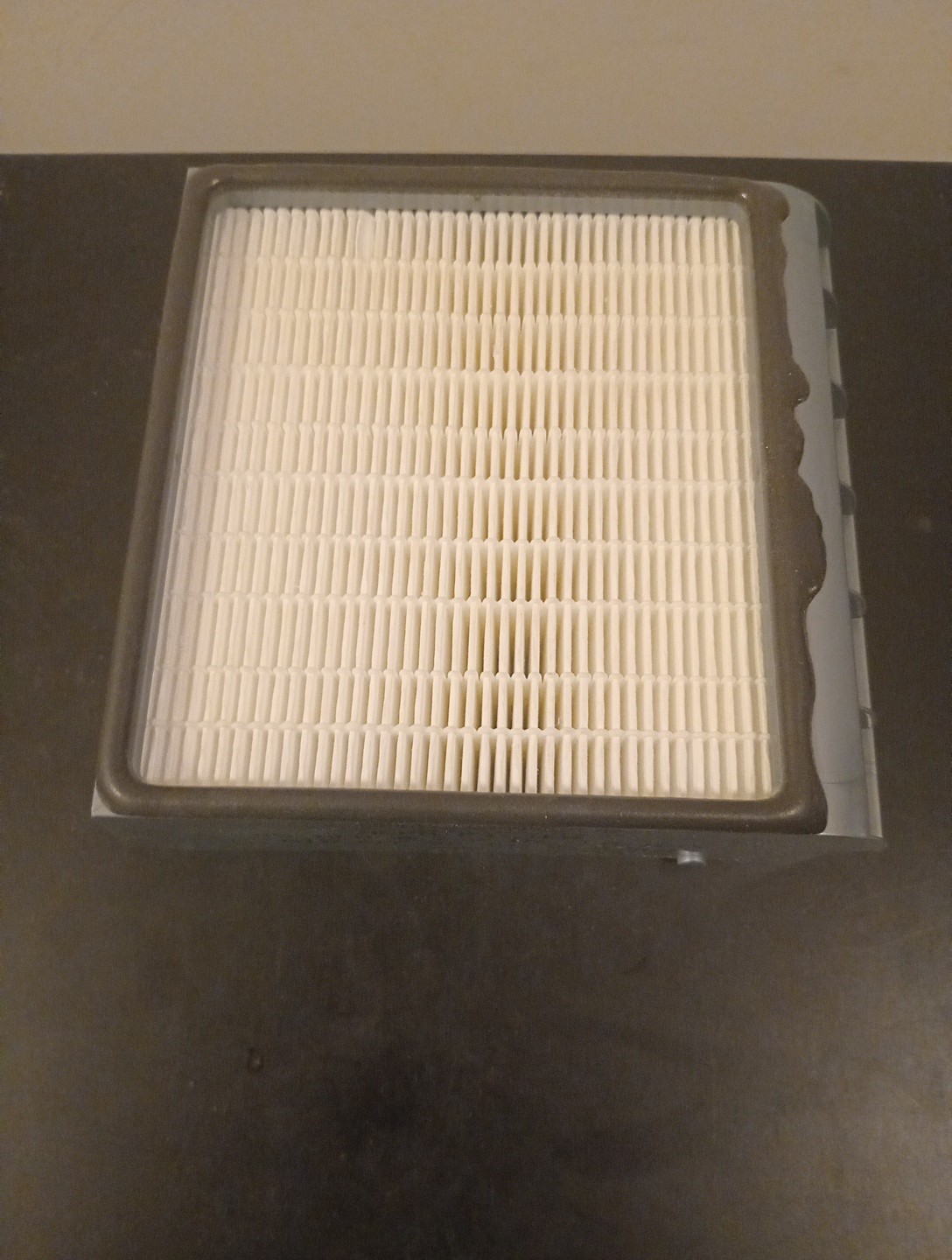 GENUINE Fantom Lightning Certified HEPA Vacuum Filter Cartridge Original *NEW*