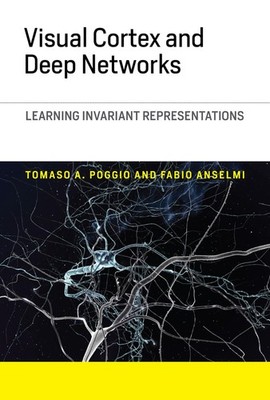 Visual Cortex and Deep Networks: Learning Invariant Representations (Computa...