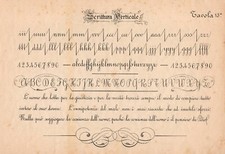 Stampa antica CALLIGRAFIA SCRITTURA VERTICALE G. Filosa T. 13 1915 Antique print