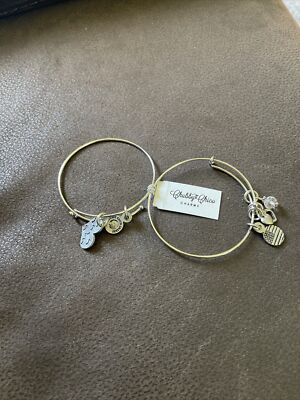 New Pair Of Chubby Charm Expandable Bracelets Dog Bone Hearts American Flag