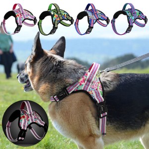 padded no pull dog harness