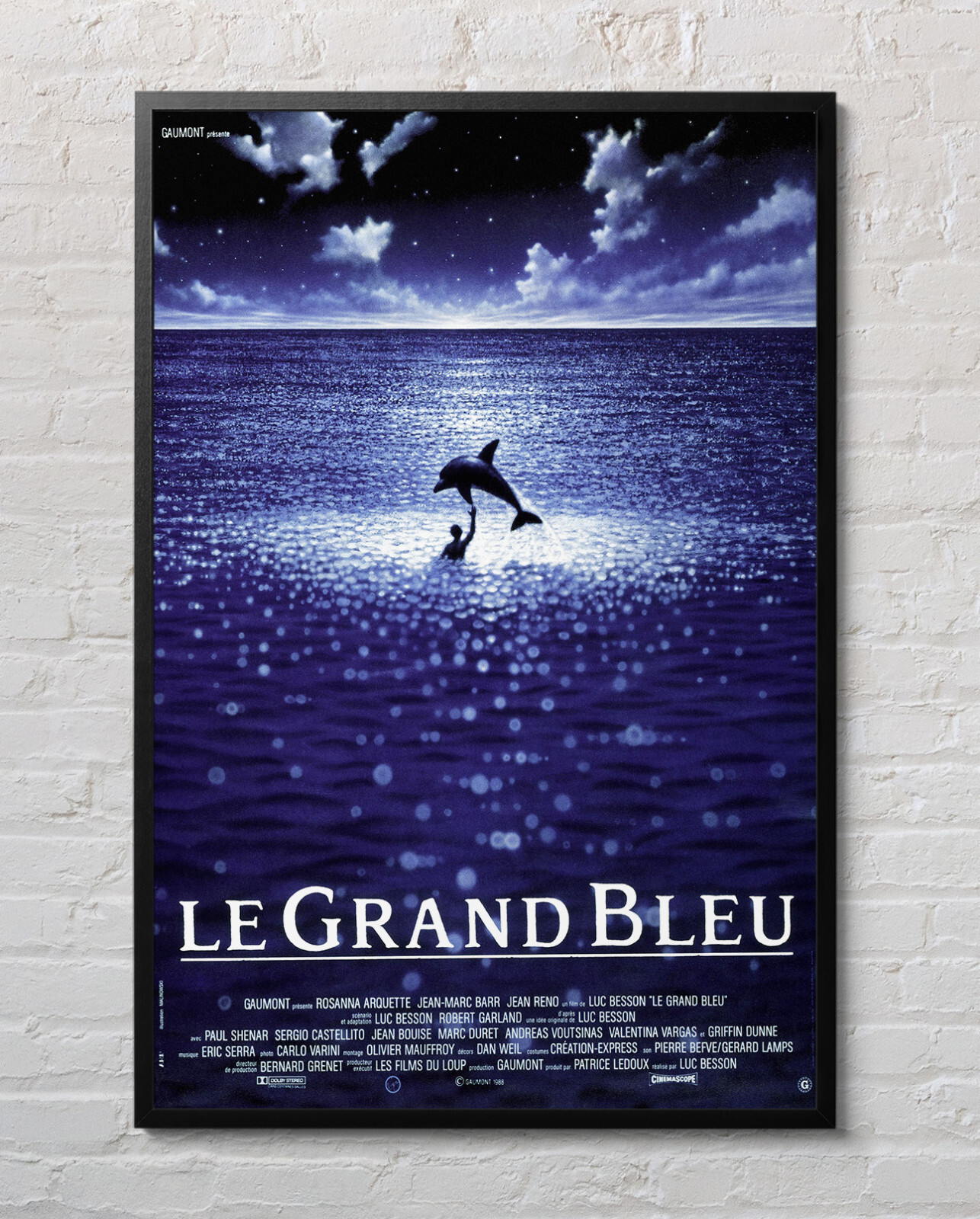 Movie Poster The Big Blue 1988 Le Grand Bleu 24x36 inch Glossy M8814