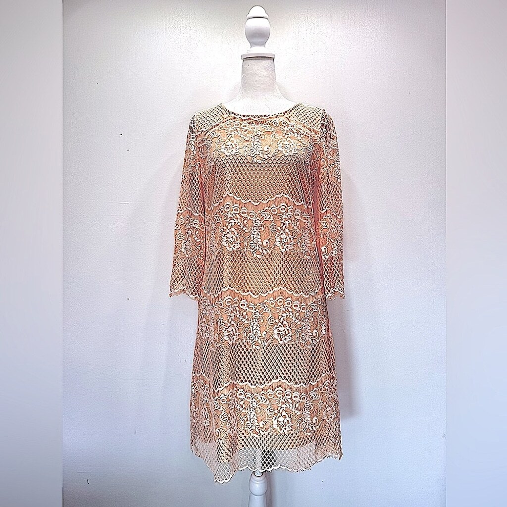 Pale Orange Peach Sheer Mesh Lace Overlay Sheath Dress 3/4 Sleeves Wendy Bird image 4