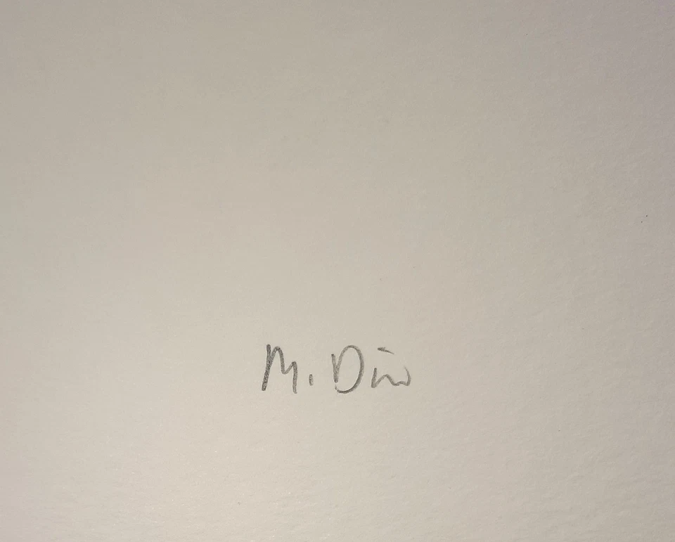 MARK DION - The Aerial Realm. Handsignierter Siebdruck, Griffelkunst Wahl 353 A6 - Bild 2 von 4