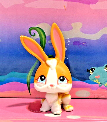 Petshop Araignee d’occasion | Plus que 4 à -75 Petshop Araignee d’occasion | Plus que 4 à -75