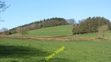 Photo 6x4 Field, Willett Hill Rook's Nest/ST0833 At 300m above sea level c2012