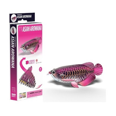 Eugy Asian Arowana 118 3D Karton Modellbausatz