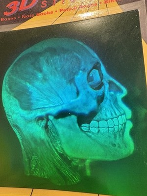 その他 GUY Hologram with BL GID head 1993 Skull and Brain Polaroid Future Vision Hologram Sticker