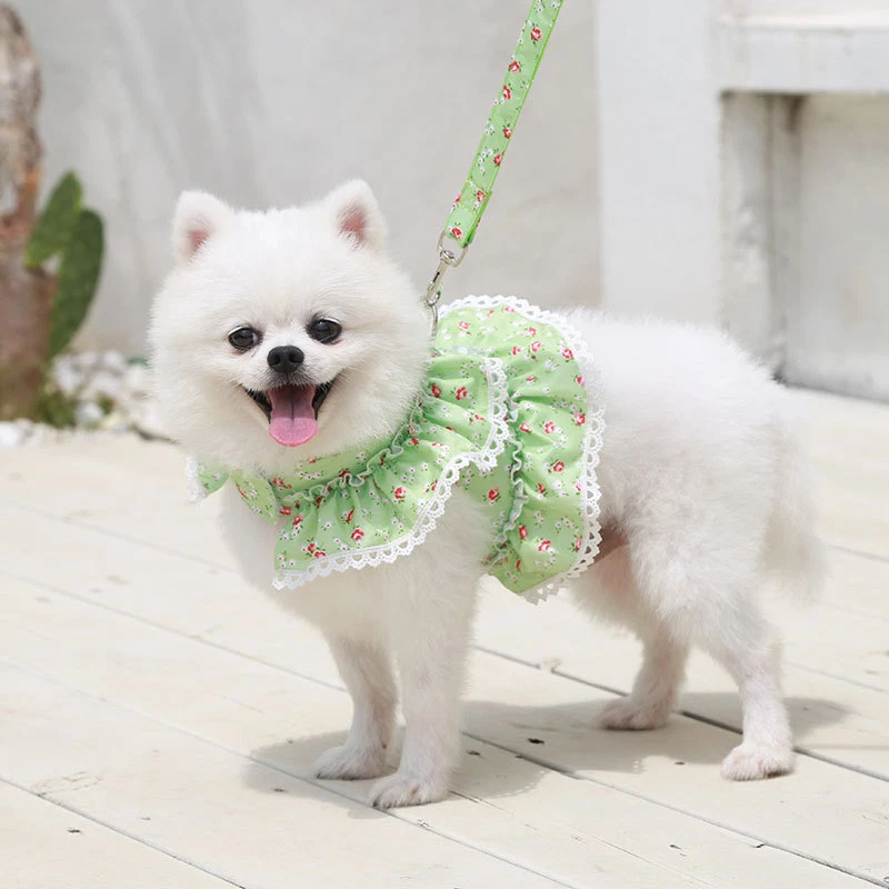 Dog Harness With Leash Adjustable Soft Padded Pet Vest Flower Lace For Small