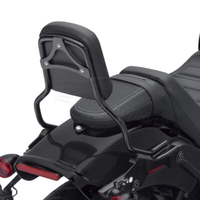 For Harley 18-25 Fat Bob Standard Height Passenger Sissy Bar Backrest Pad Kit