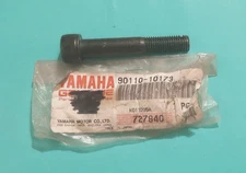 Yamaha Hexagon Socket Head Bolt NOS 90110-10173  (LW-854)