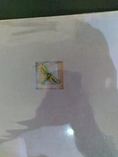 NEW SEASONS SLIP-IN CLOTH PHOTO ALBUM WITH 3D COVER EMBELLISHMENT