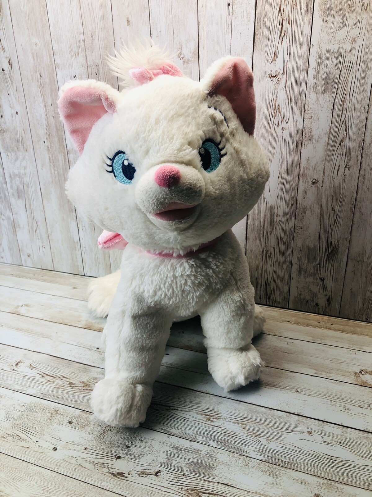 Foto 2 di 6