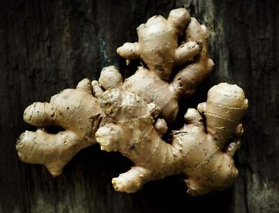 Ginger Extract Powder 10:1 5% *Clearance*
