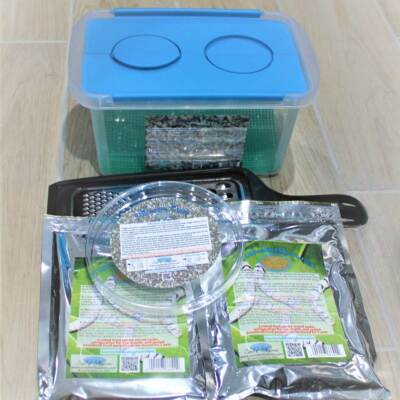 Educational Silkworm Kit Life Science Eggs - Cocoons v2.0