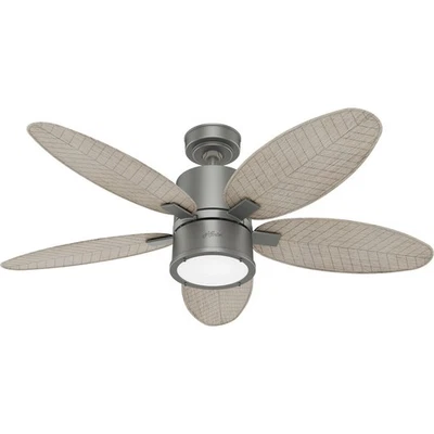 Hunter Amaryllis Model #51192 celing fans