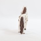 Bild 7 von 10