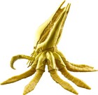 Bild 7 von 10