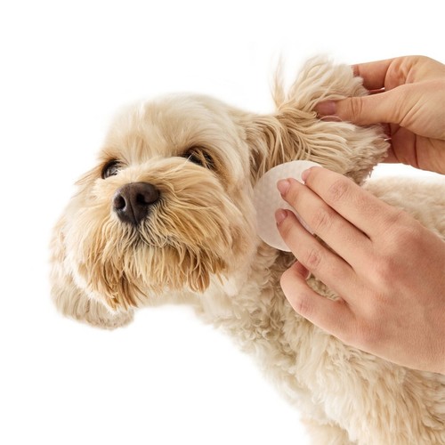 100 Pack Pet Ear & Eye Wipes - Picture 3 of 9
