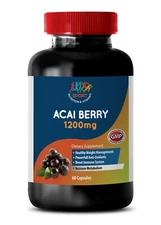 Premium ACAI BERRY EXTRACT Supplement for Immune Support - 1B 60 Caps