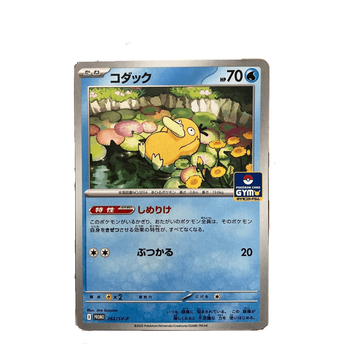 Pokemon Card Psyduck Pokemon card Gym Promo vol.10 262/SV-P