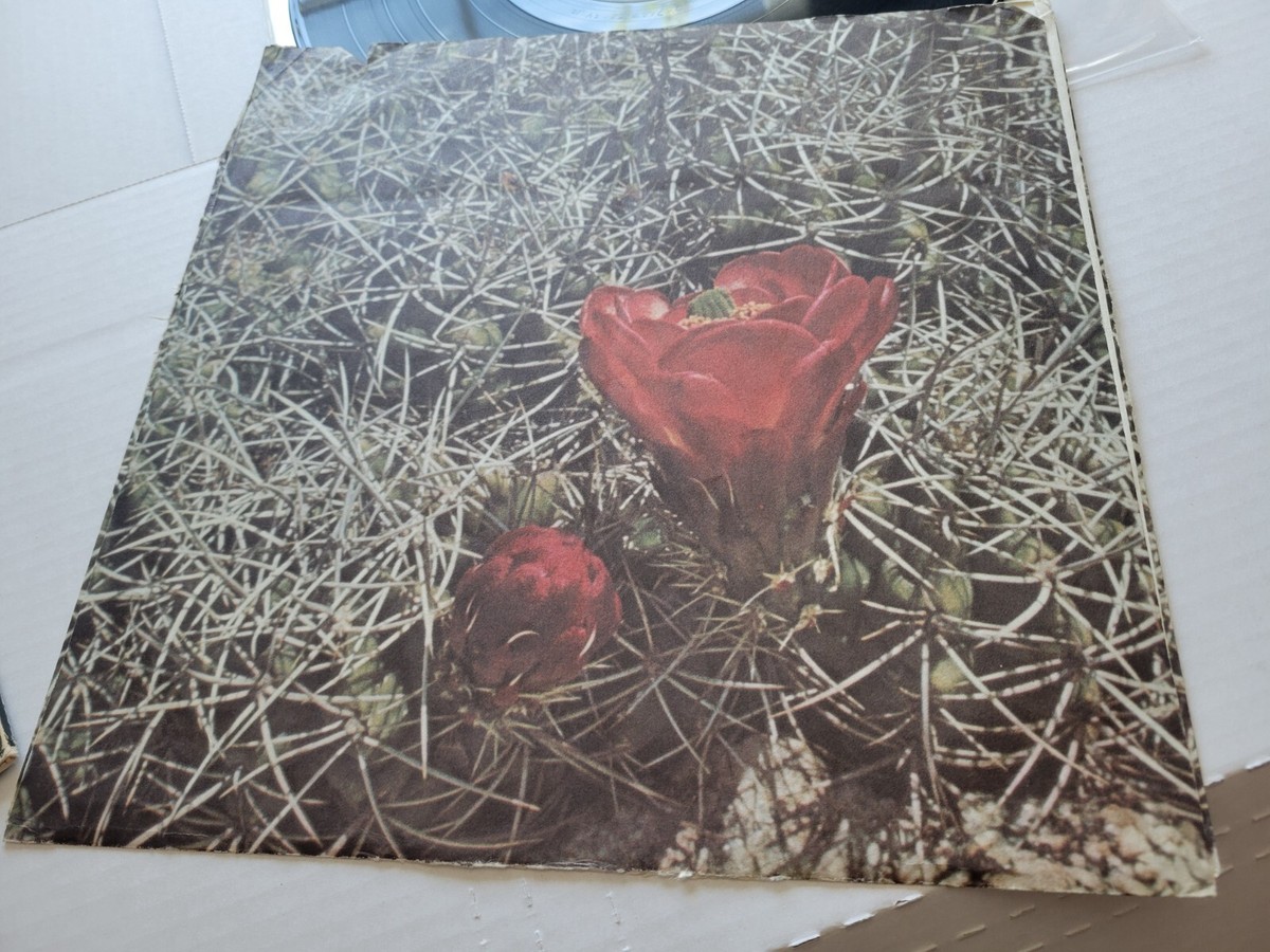 Eagles & Don Henley レコード EAGLES - Eagles 1972 DEBUT + INNER (LP) Glenn Frey Don