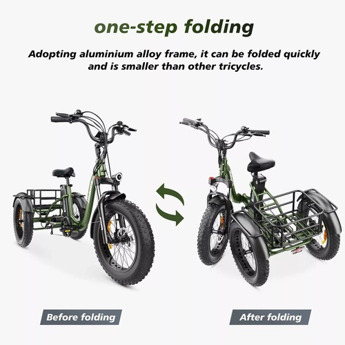 Hidoes ET1 3-Rad Elektrofahrrad 750W 20 Zoll Elektro Dreirad E-Bikes mit Korb - Bild 22 von 24