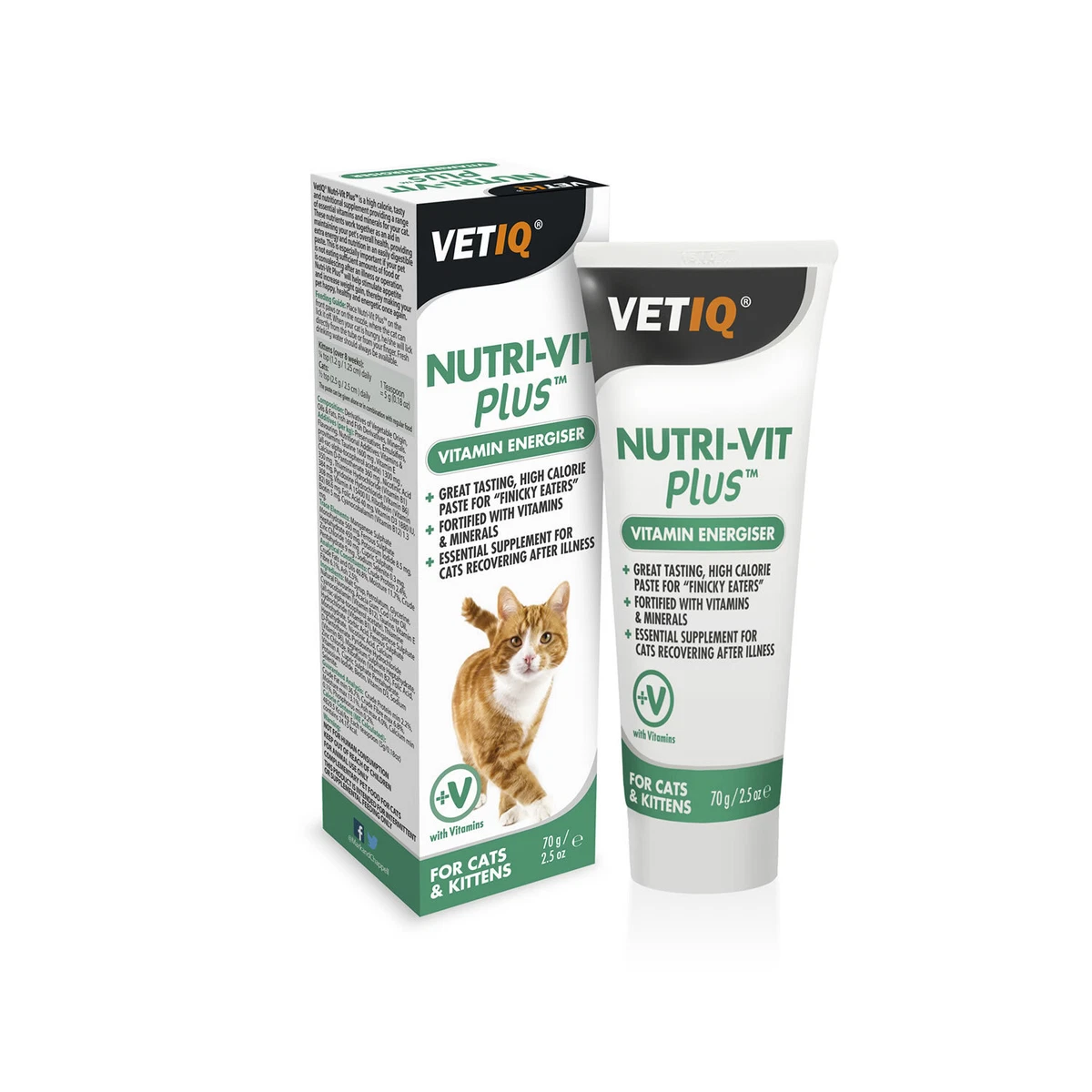 Kitten supplement cheap
