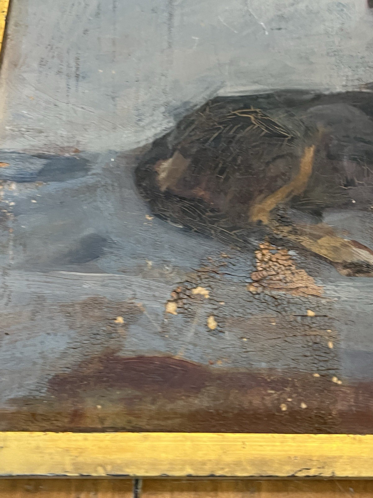 Bild 6 von 18