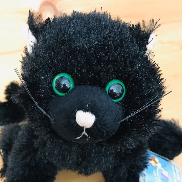 Ganz Webkinz Plush Black Cat HM135 New sealed code ((14)) | eBay