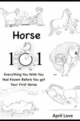 Horse 101: Everything You Wish you Had Known Before You Got Your First Horse