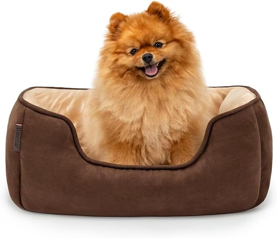 Letto Cane 2 in 1 Lavabile | Cuccia Reversibile per Interni | Offerta