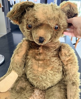Antique 28'' Teddy Bear Early 1900s Cork/Excelsior Stuffed British Style Jointed