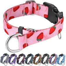 Martingale Collar for Dogs with Buckle Nylon Limited Slip No Pull Training Do...