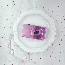 SONY Cyber Shot DSC-WX200 Digital Camera 10x Zoom 18.2MP Pink English Language