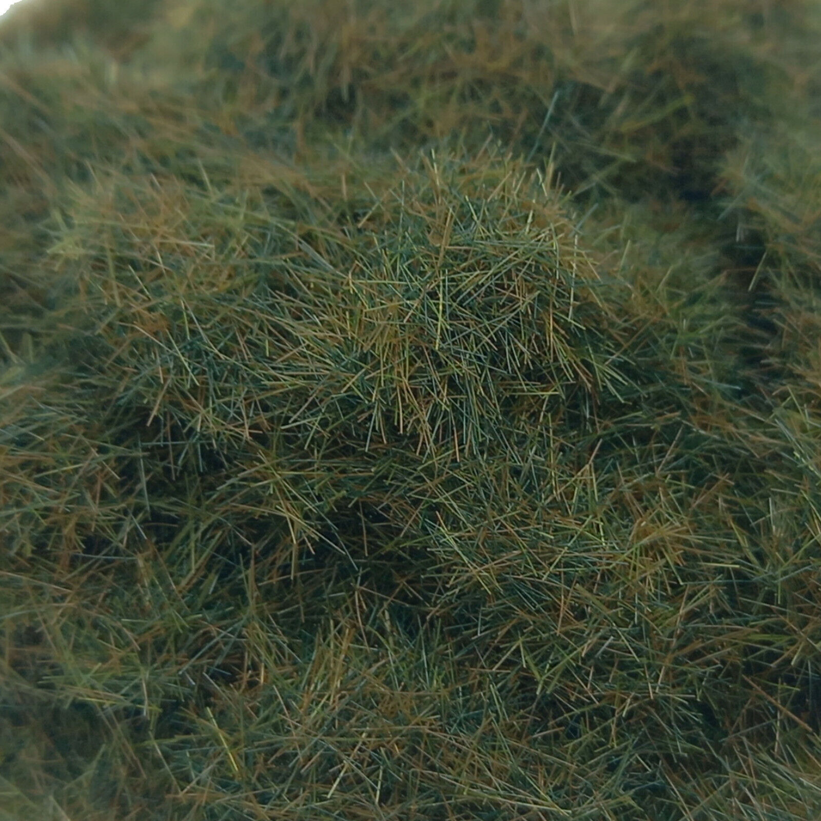 Picture 55 of 84
